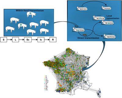 Threat to the French Swine Industry of African Swine Fever: Surveillance, Spread, and Control Perspectives